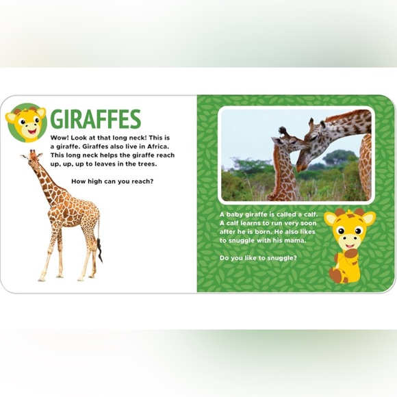 New Baby Einstein Book - Picture 2 of 7